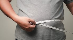 צילום: shutterstock